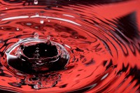 /album/fotografia-arte/dsc3382-jpg/