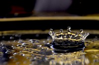 /album/fotografia-arte/dsc3459-jpg/