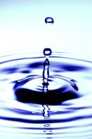 /album/fotografia-arte/dsc1949-jpg/