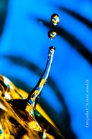 /album/fotografia-arte/crs2262-2-jpg/