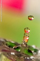 /album/fotografia-arte/crs2343-jpg/