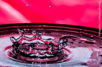 /album/fotografia-arte/a1015377-742568009113676-2102204168362415363-o-jpg/